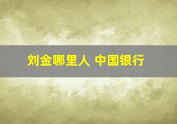 刘金哪里人 中国银行